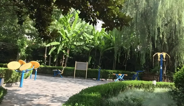 佟丽娅儿子正脸曝光，五官气质超像爸爸